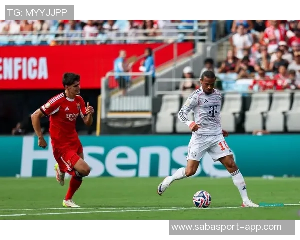 2025年点球榜揭晓本菲卡领先皇马和拜仁巴黎争夺第二位